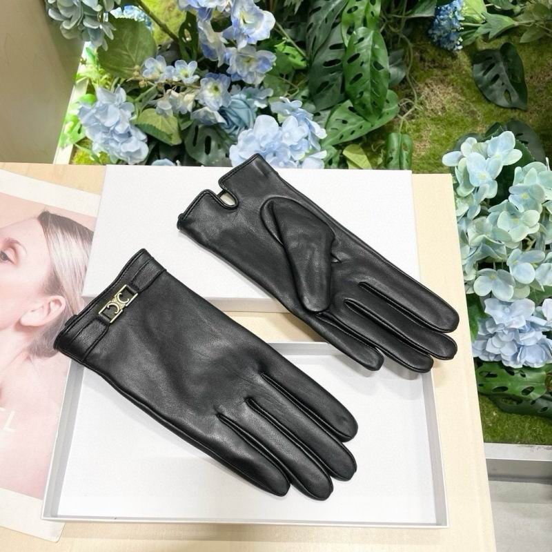 Celine Gloves hm (41)