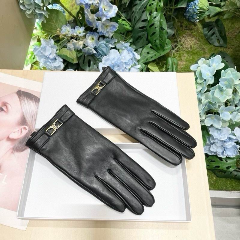 Celine Gloves hm (42)