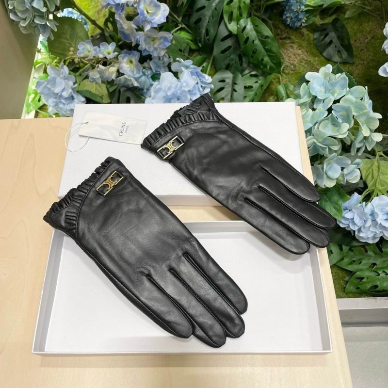 Celine Gloves hm (44)