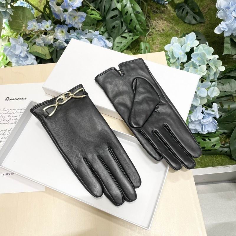 Celine Gloves hm (45)
