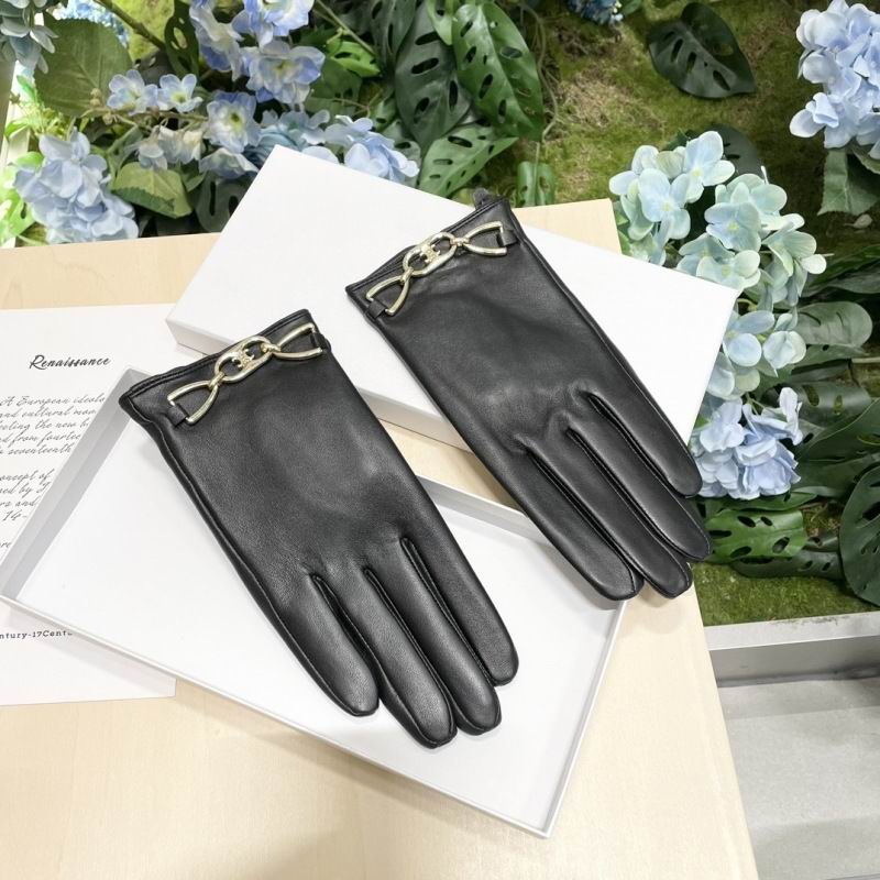 Celine Gloves hm (46)