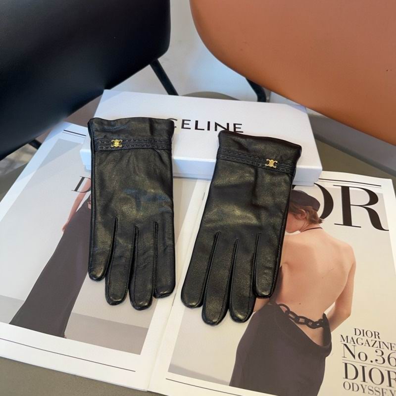 Celine Gloves hm (54)