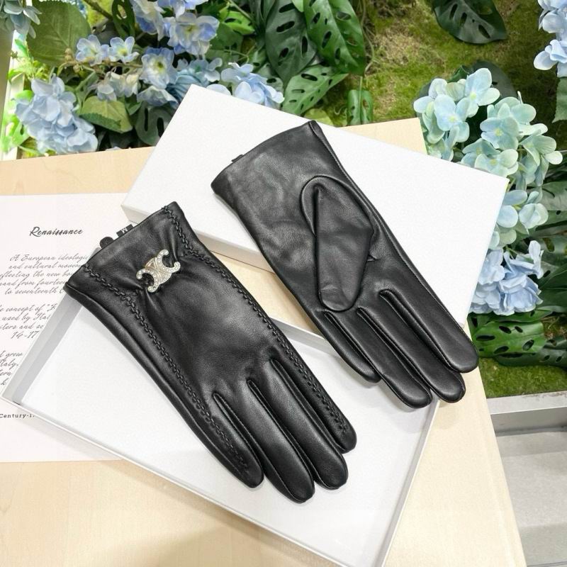 Celine Gloves hm (59)