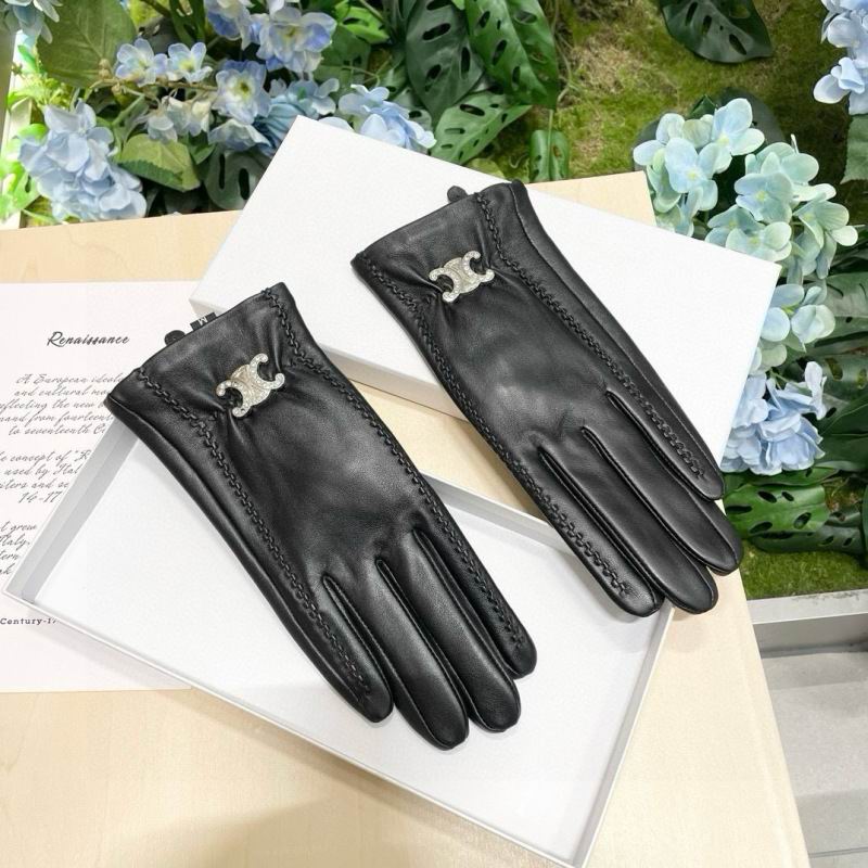Celine Gloves hm (60)