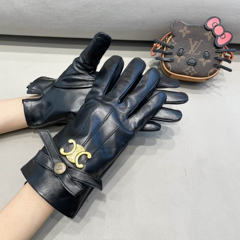 Celine Gloves hm (63)