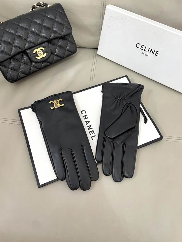 Celine Gloves hm (64)