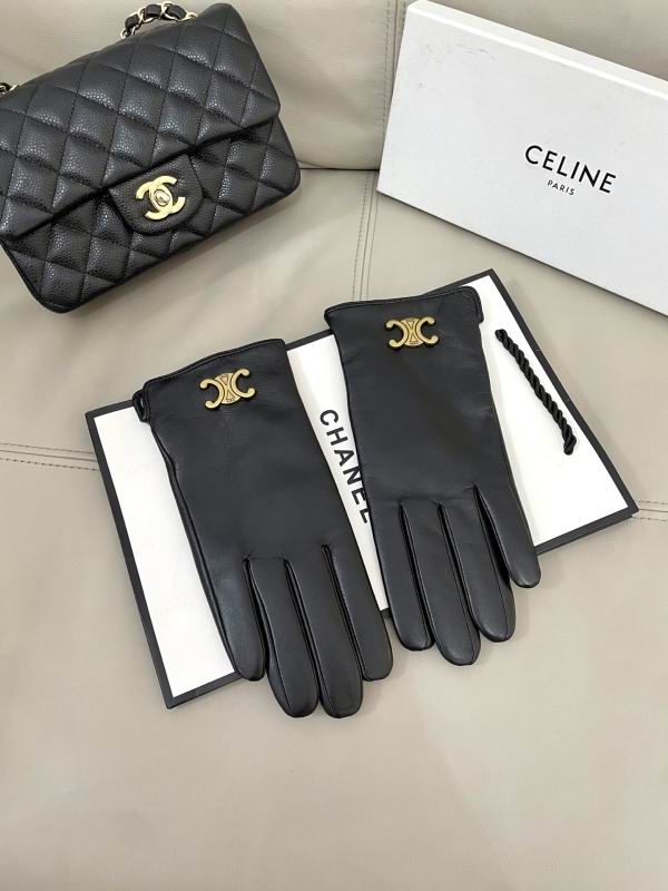 Celine Gloves hm (65)