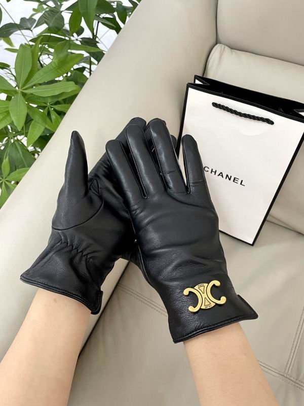 Celine Gloves hm (66)