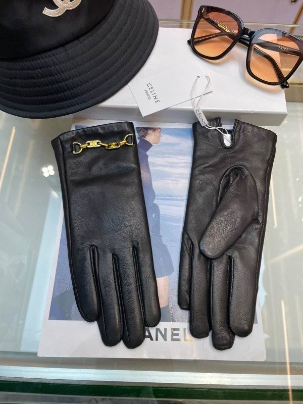 Celine Gloves hm (67)