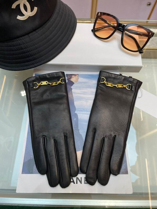 Celine Gloves hm (68)