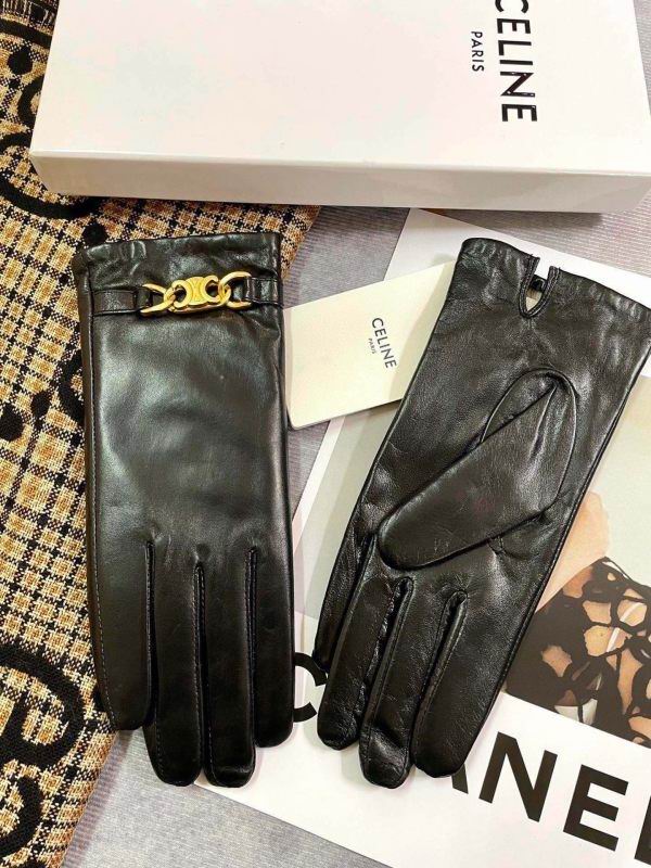 Celine Gloves hm (70)