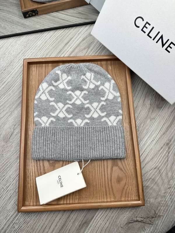 Celine Hat hm (221)