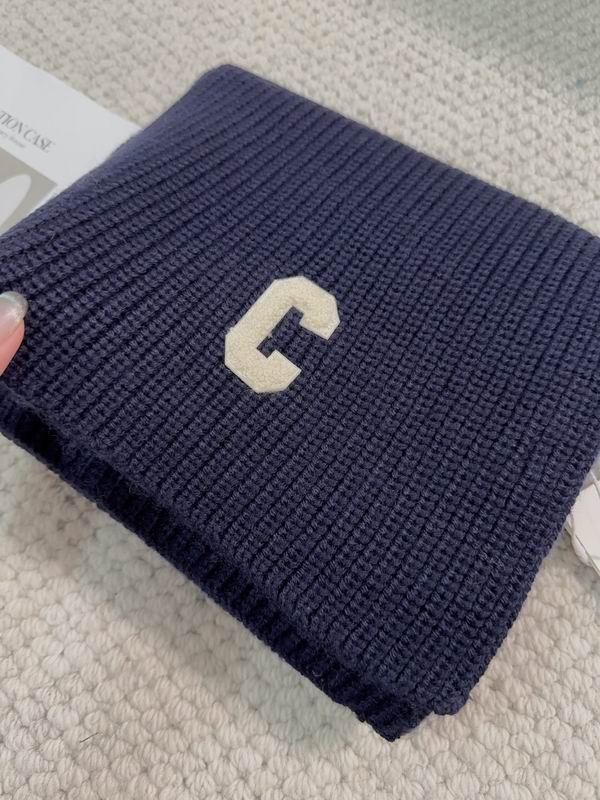 Celine Scarf dx (293)