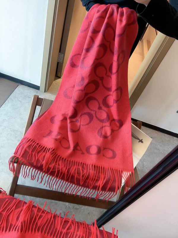 Coach Scarf 195X53cm 97%羊毛3%羊绒 E24 (11)