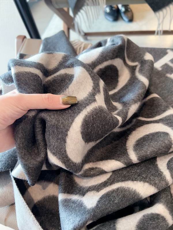 Coach Scarf 195X53cm 97%羊毛3%羊绒 E24 (19)