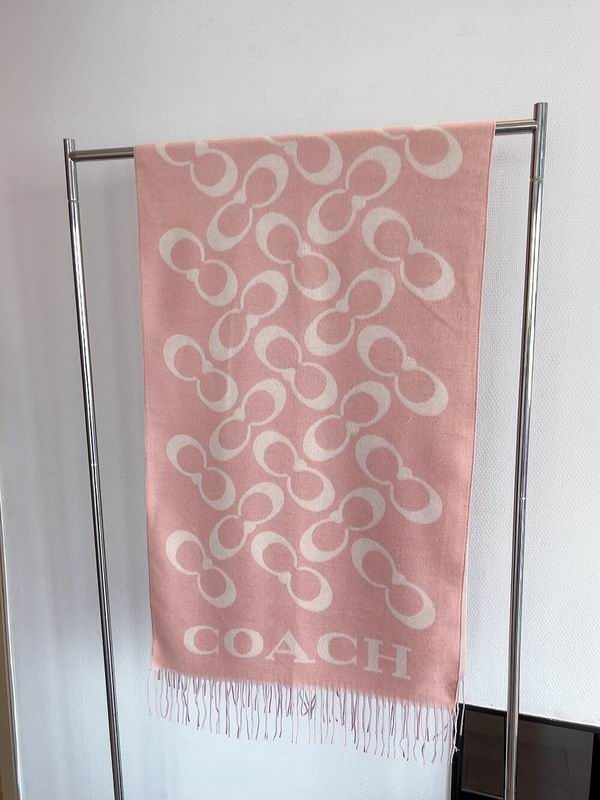 Coach Scarf 195X53cm 97%羊毛3%羊绒 E24 (23)
