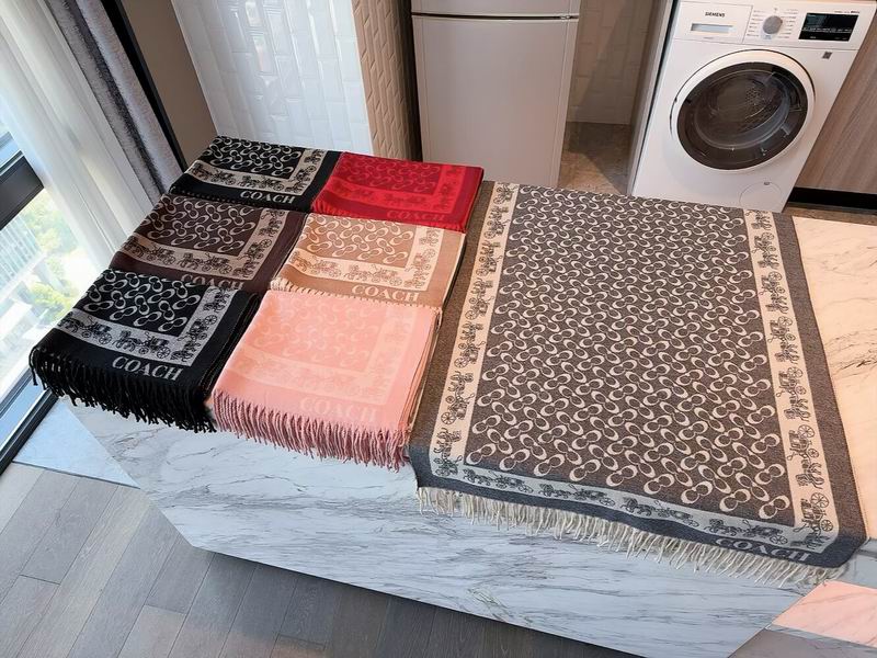 Coach Scarf 195X53cm 97%羊毛3%羊绒 E35 (10)