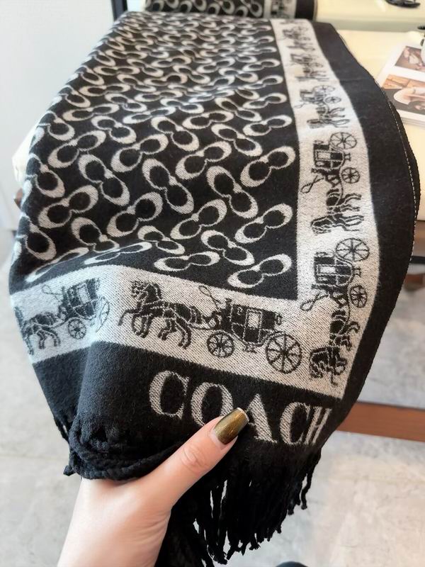 Coach Scarf 195X53cm 97%羊毛3%羊绒 E35 (12)