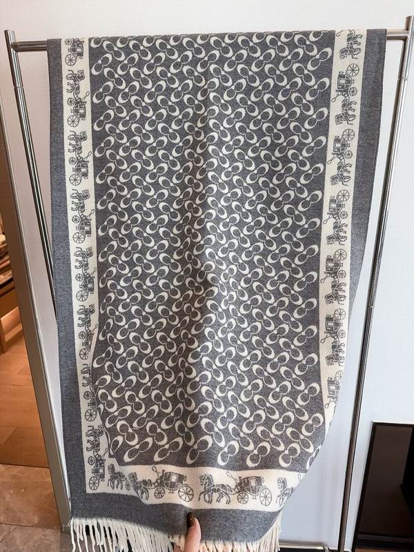 Coach Scarf 195X53cm 97%羊毛3%羊绒 E35 (15)