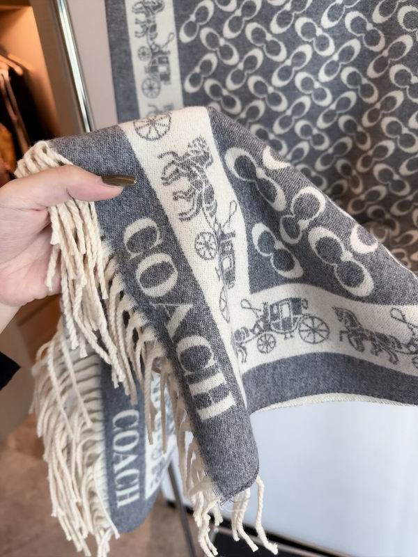 Coach Scarf 195X53cm 97%羊毛3%羊绒 E35 (16)