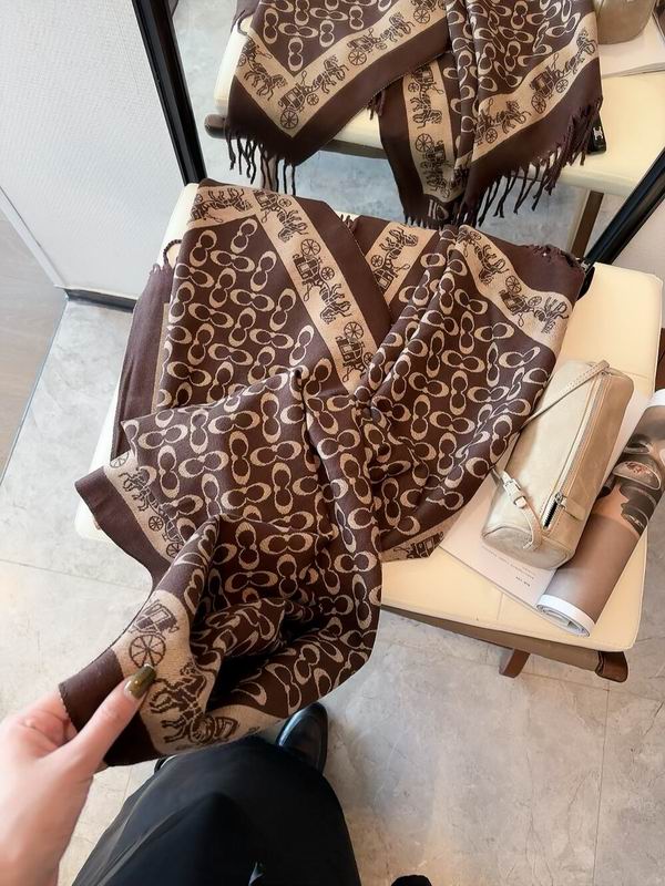 Coach Scarf 195X53cm 97%羊毛3%羊绒 E35 (20)