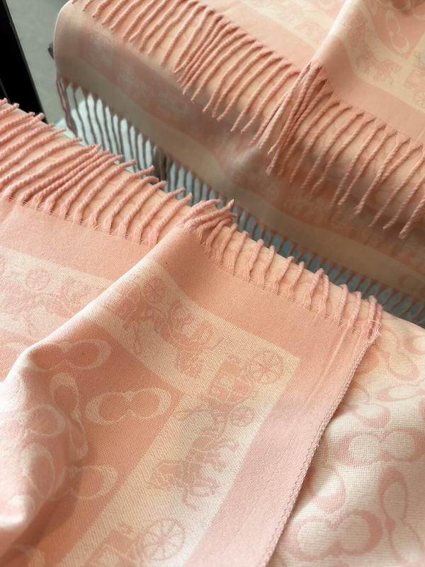 Coach Scarf 195X53cm 97%羊毛3%羊绒 E35 (24)