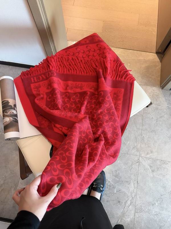 Coach Scarf 195X53cm 97%羊毛3%羊绒 E35 (4)
