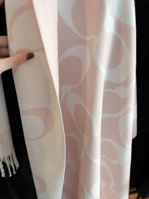Coach Scarf 195X70cm E04 (11)