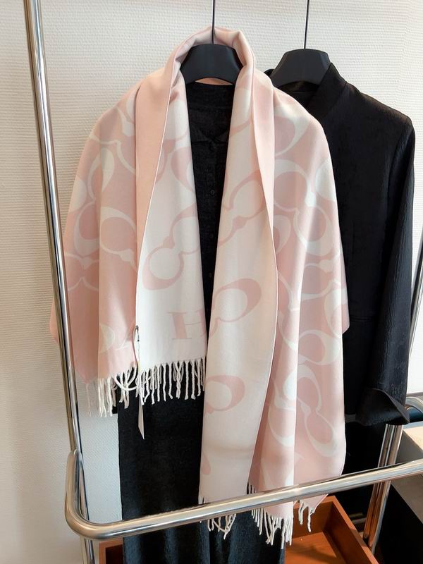 Coach Scarf 195X70cm E04 (12)