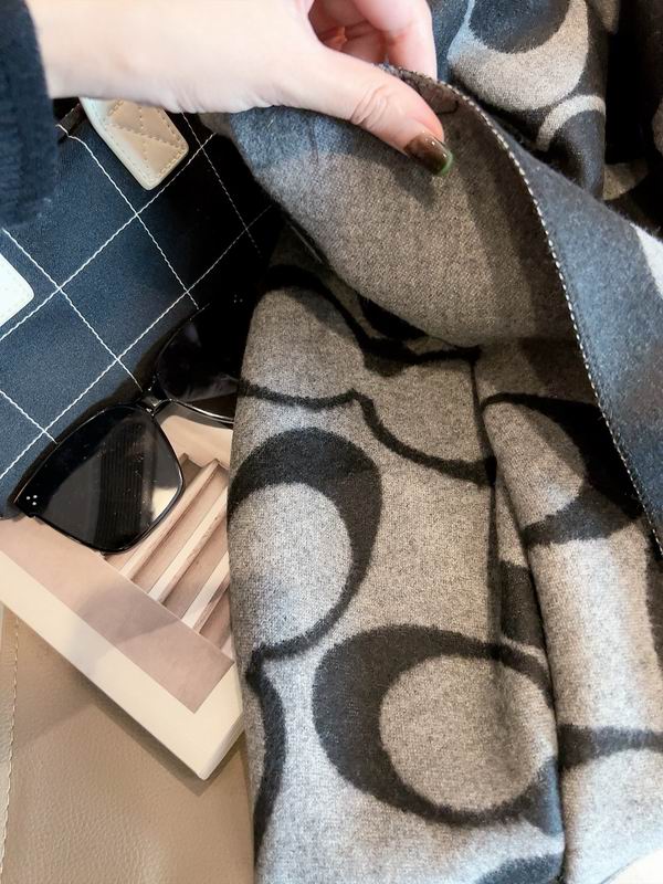 Coach Scarf 195X70cm E04 (16)