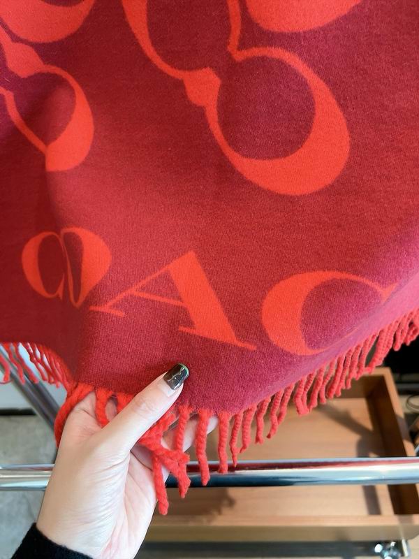 Coach Scarf 195X70cm E04 (20)