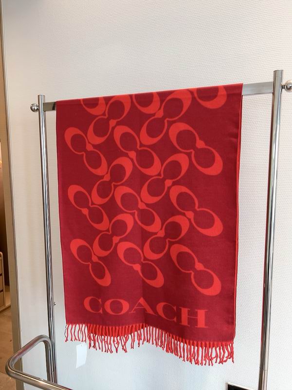 Coach Scarf 195X70cm E04 (21)