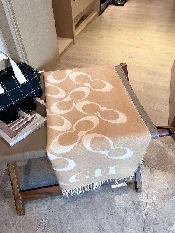 Coach Scarf 195X70cm E04 (3)