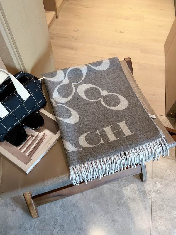 Coach Scarf 195X70cm E04 (7)
