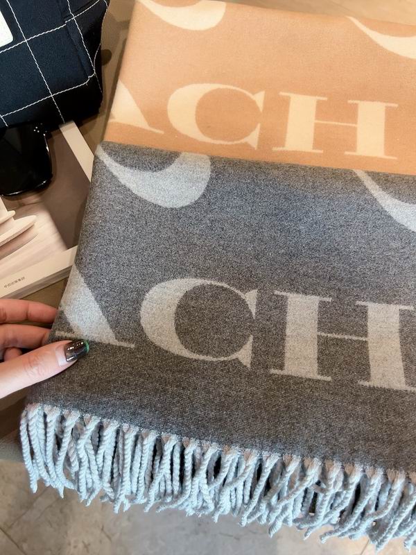 Coach Scarf 195X70cm E04 (8)