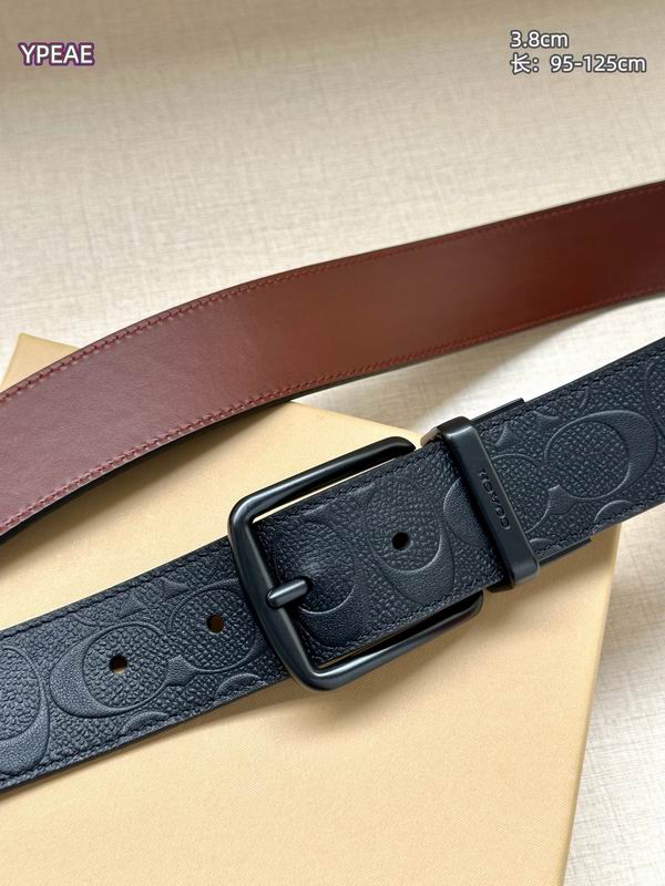 Coach belt 38mmX95-125cm 8L (14)