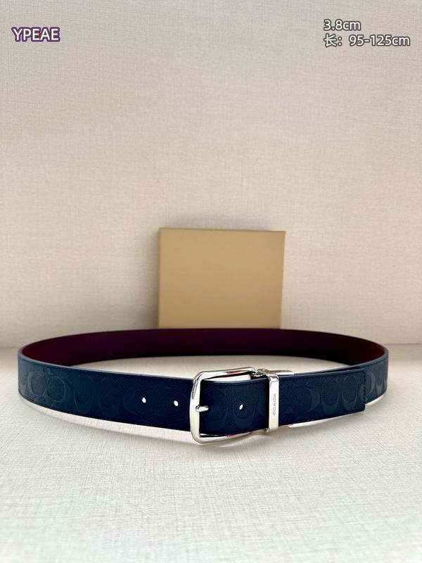 Coach belt 38mmX95-125cm 8L (17)