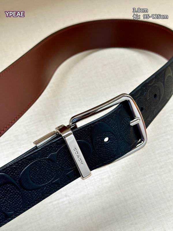 Coach belt 38mmX95-125cm 8L (18)