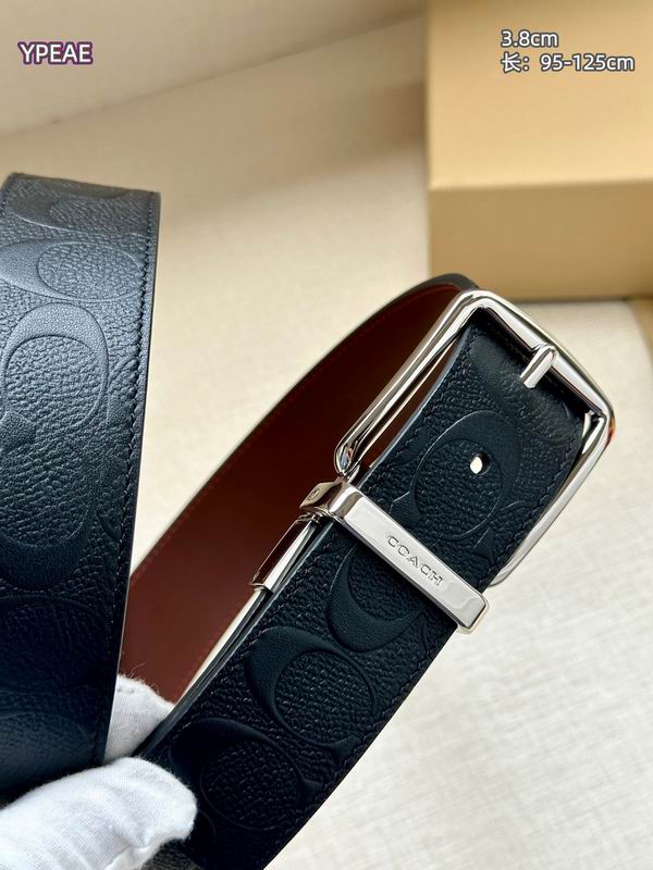 Coach belt 38mmX95-125cm 8L (20)