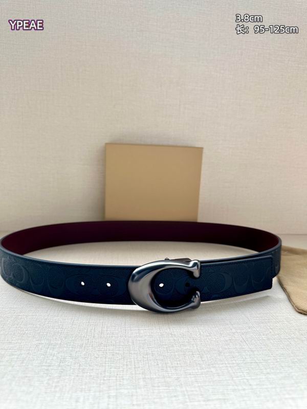 Coach belt 38mmX95-125cm 8L (5)