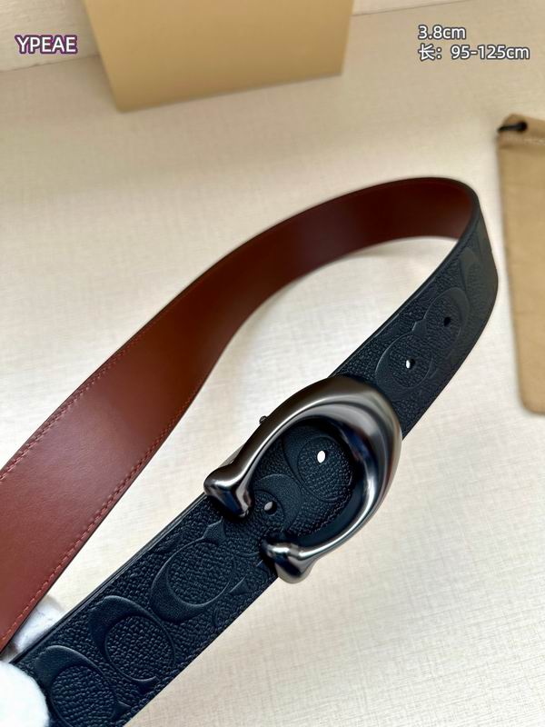 Coach belt 38mmX95-125cm 8L (6)