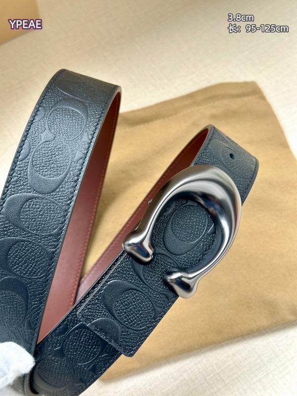 Coach belt 38mmX95-125cm 8L (8)
