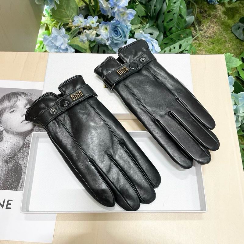 Dior Gloves 09 (9)