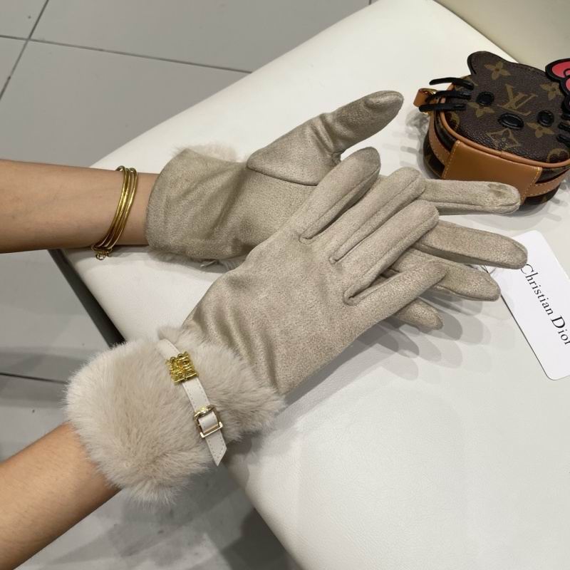 Dior Gloves hm (10)