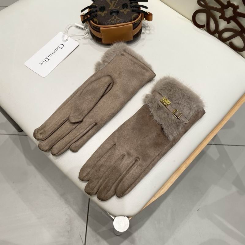 Dior Gloves hm (14)