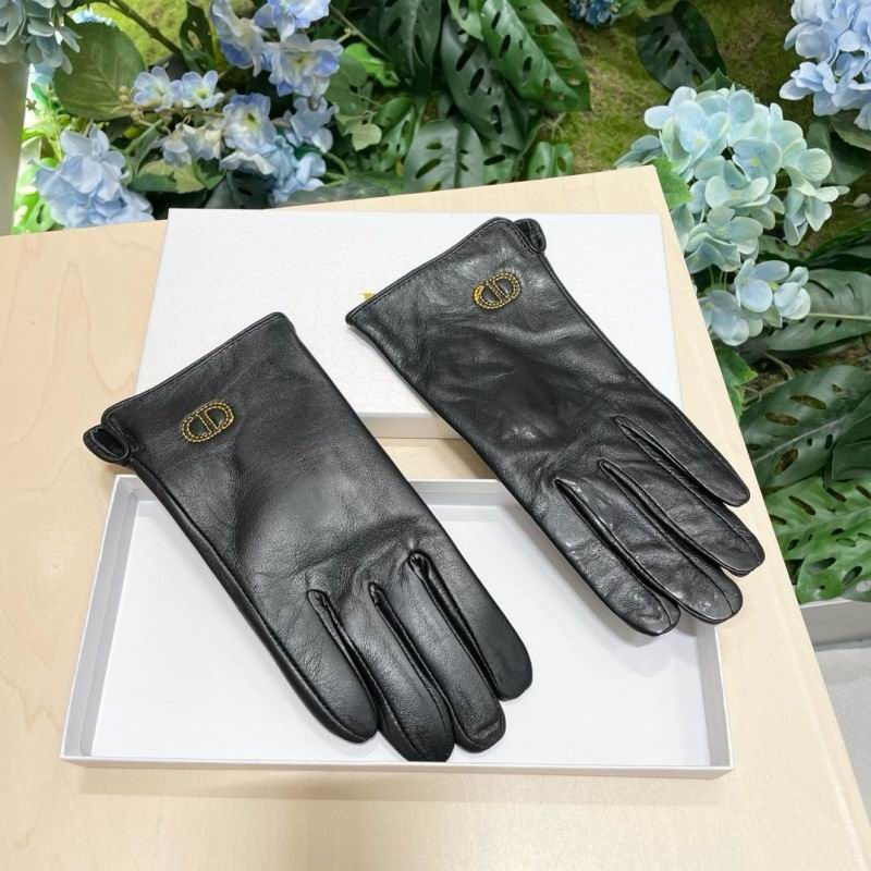 Dior Gloves hm (19)