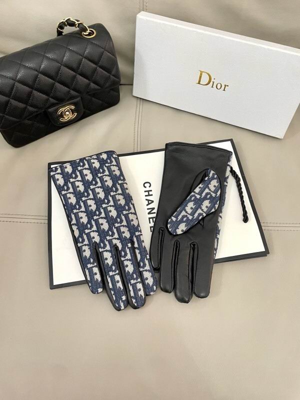 Dior Gloves hm (20)