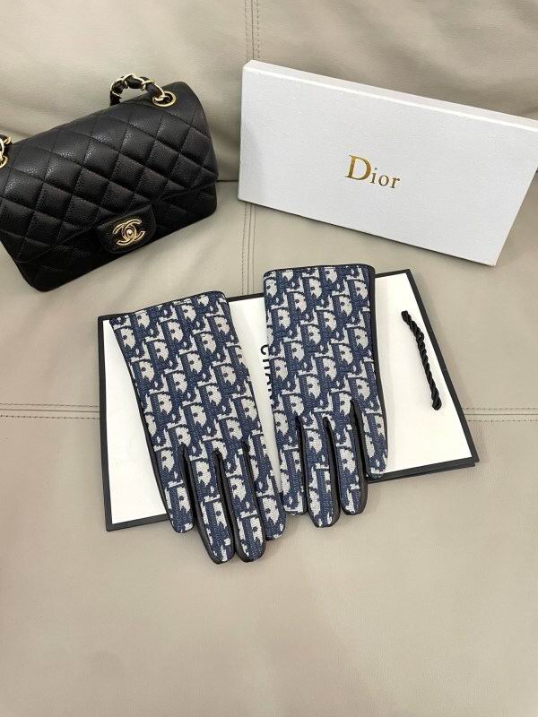 Dior Gloves hm (21)