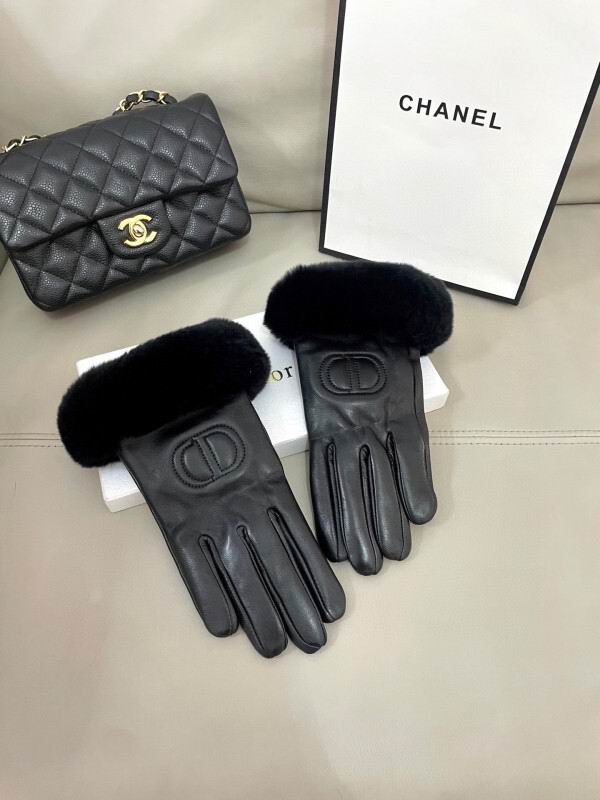 Dior Gloves hm (26)