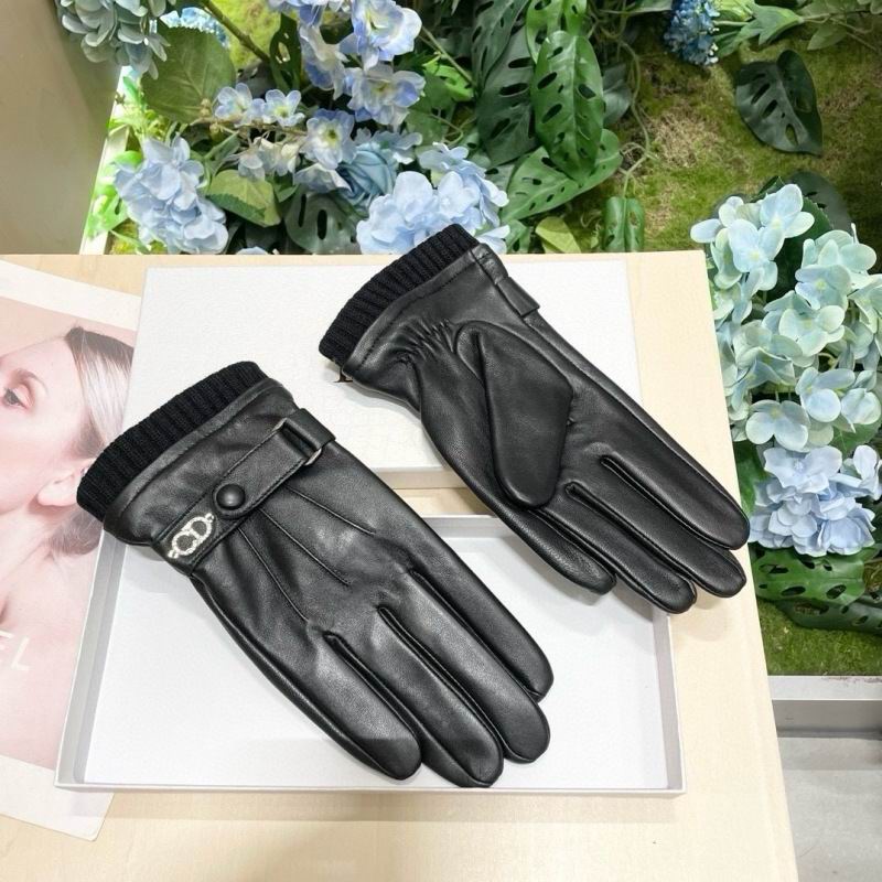 Dior Gloves hm (34)